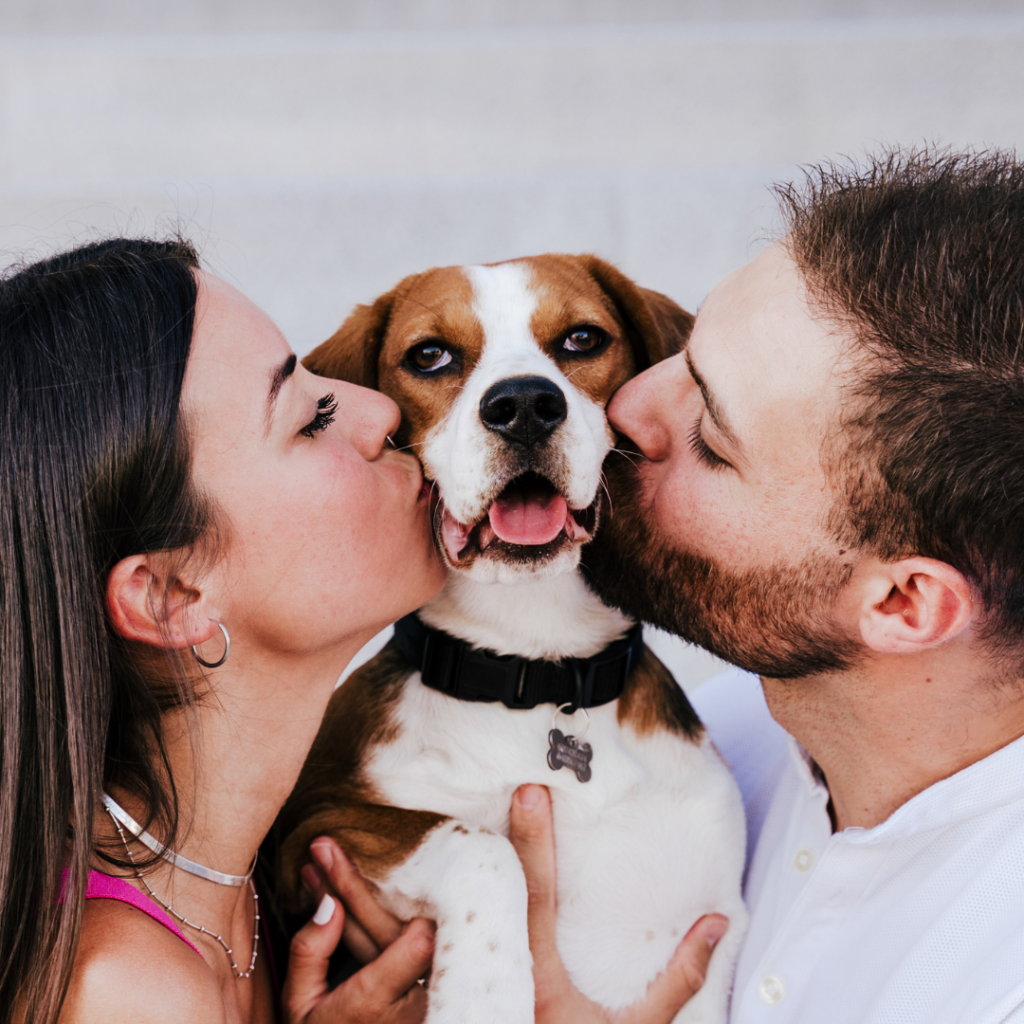 man and woman kissing a beagle